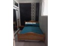 shk-balyom-fy-klb-tng-small-0