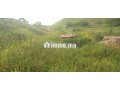 aayn-gohr-kbl-tyflt-small-5