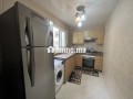 apprt-2-ch-salon-meuble-en-location-a-borgogne-small-2