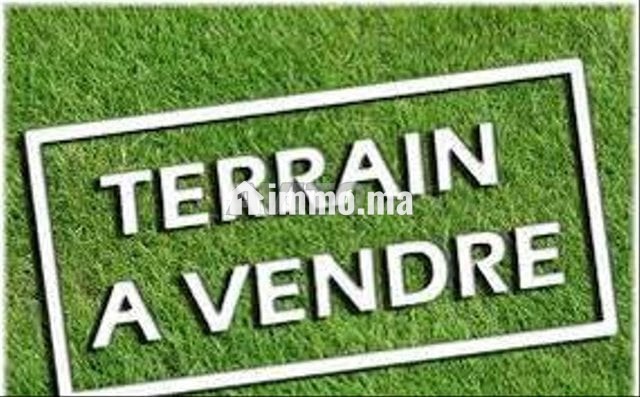 terrain-villa-a-vendre-a-quartier-du-parc-big-1