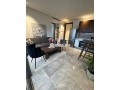 studio-meuble-hd-neuf-a-cfc-small-3