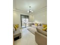 magnifique-appartement-pour-location-courte-duree-small-4