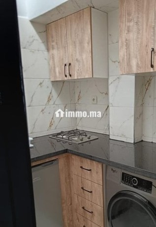 appartement-suite-parentele-a-louer-big-5