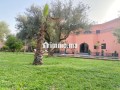 location-a-la-nuitee-dune-villa-a-marrakech-small-5