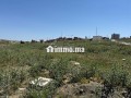 bkaa-llbyaa-fy-tgzy-alfth-tng-albaly-small-1