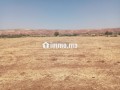 ter-titre-5ha-lamaaziz-tiflet-small-1