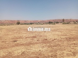 ter-titre-5ha-lamaaziz-tiflet