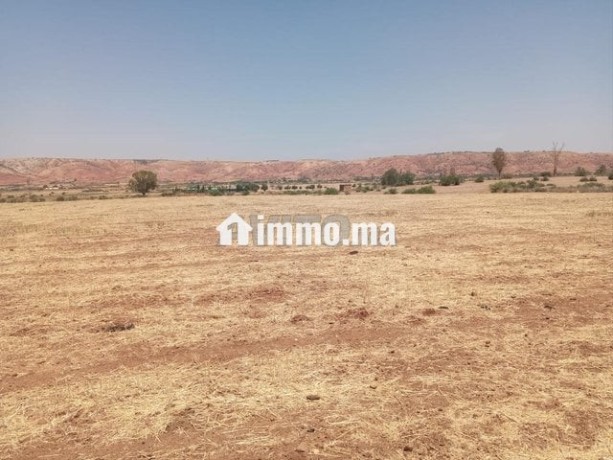 ter-titre-5ha-lamaaziz-tiflet-big-0