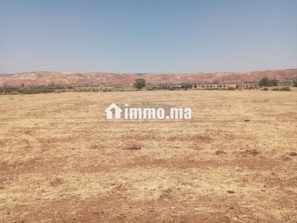 ter-titre-5ha-lamaaziz-tiflet-big-1