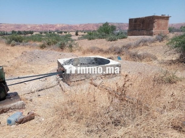 ter-titre-5ha-lamaaziz-tiflet-big-2