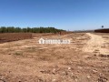ard-llbyaa-almsah-3400m-mlky-tryk-fas-klm-16-small-2