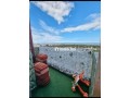 appart-meuble-chic-146m-bourgogne-3ch-vue-mer-small-2