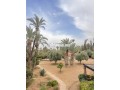 coquette-villa-a-vendre-a-la-palmerie-small-3