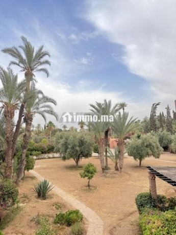 coquette-villa-a-vendre-a-la-palmerie-big-3