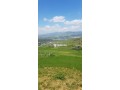 ard-llbyaa-mokaa-banoramy-noahy-ttoan-small-1