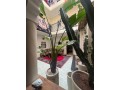 riad-a-vendre-a-marrakech-medina-small-5