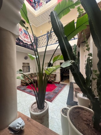 riad-a-vendre-a-marrakech-medina-big-5