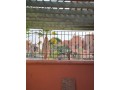 2br-apt-near-mamounia-hivernage-90-meter-small-13