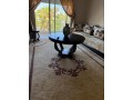 villa-avec-piscine-privee-small-13