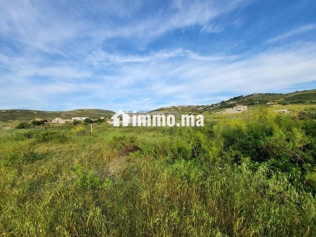 Terrain zone villa 824 m KANKOUCH Tanger à vendre - Vente Immobilier - Tanger - photo 6