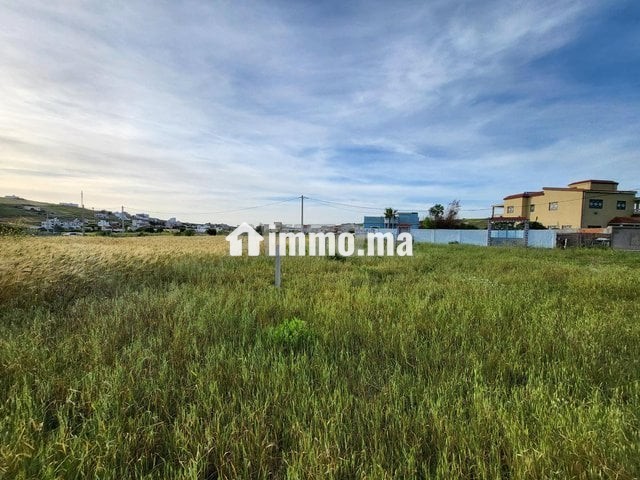 Terrain zone villa 824 m KANKOUCH Tanger à vendre - Vente Immobilier - Tanger - photo 7