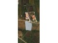 terrain-zone-villa-824-m-kankouch-tanger-a-vendre-small-4