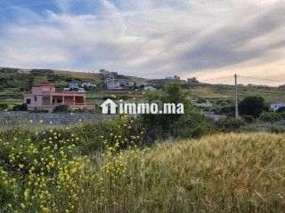 Terrain zone villa 824 m KANKOUCH Tanger à vendre - Terrain à vendre - Tanger