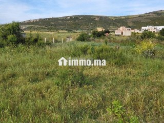 Terrain zone villa 824 m KANKOUCH Tanger à vendre - Terrain à vendre - Tanger