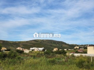 Terrain zone villa 824 m KANKOUCH Tanger à vendre - Terrain à vendre - Tanger