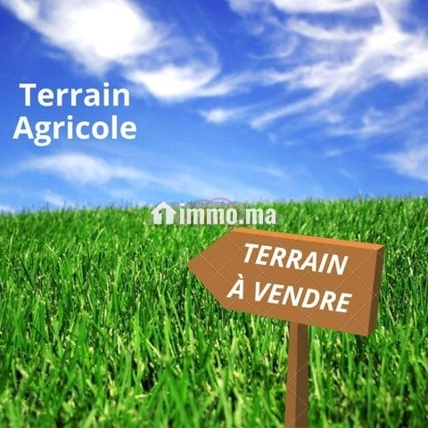 Des terrain et des ferme a vendre fes et région - Vente Immobilier - Fes - photo 1