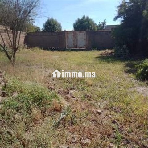 Des terrain et des ferme a vendre fes et région - Vente Immobilier - Fes - photo 3