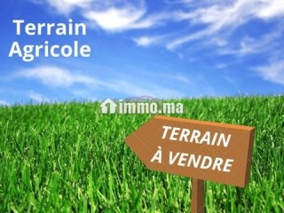 des-terrain-et-des-ferme-a-vendre-fes-et-region