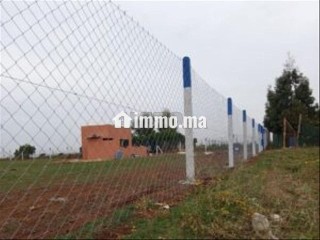 Des terrain et des ferme a vendre fes et région - Terrain à vendre - Fes