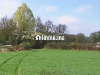 Des terrain et des ferme a vendre fes et région - Terrain à vendre - Fes