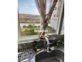 appartement-lumineux-a-louer-67-route-rahma-small-5