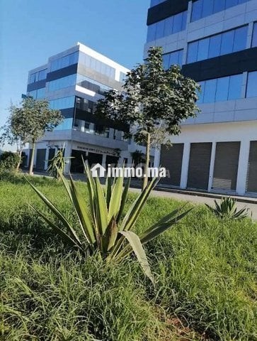 Bureau à louer - Location Immobilier - Temara - photo 1