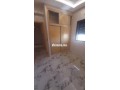 shk-llkraaa-hdyth-albnaaa-small-1