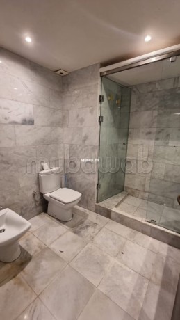 duplex-avec-terrasse-a-la-location-a-racine-big-18