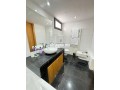 racine-superbe-f3-meuble-96m2-cuisine-us-small-9