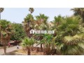 appartement-a-louer-pour-vacances-small-2
