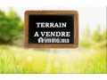 terann-150m2-r2-zaidon-small-0