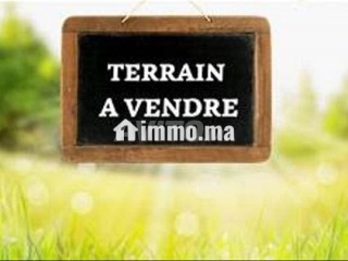 terann-150m2-r2-zaidon