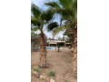 villa-a-vendre-a-marrakech-small-6