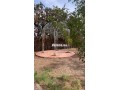 villa-a-vendre-a-marrakech-small-7