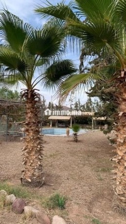 villa-a-vendre-a-marrakech-big-6