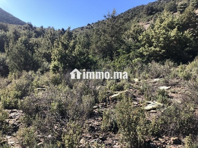 Terrain à Tahanaout - Vente Immobilier - Marrakech - photo 1