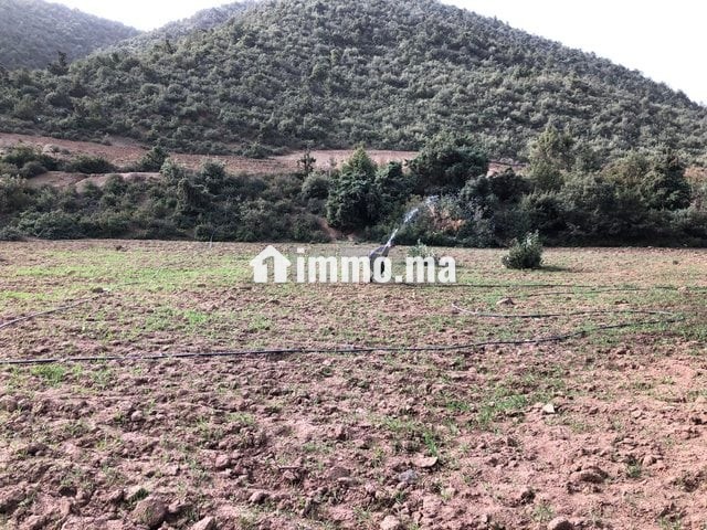 Terrain à Tahanaout - Vente Immobilier - Marrakech - photo 4