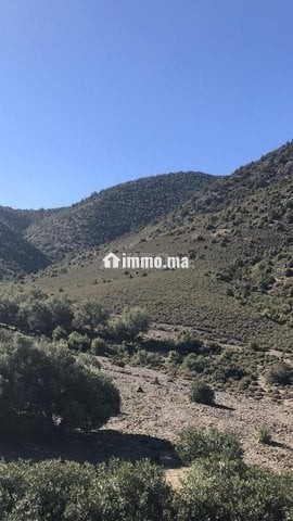 Terrain à Tahanaout - Vente Immobilier - Marrakech - photo 8