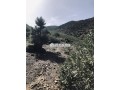 terrain-a-tahanaout-small-1