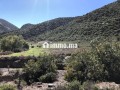 terrain-a-tahanaout-small-4